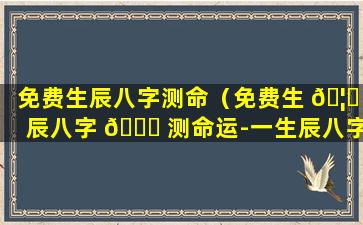 免费生辰八字测命（免费生 🦟 辰八字 🐞 测命运-一生辰八字算命）